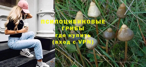 спиды Козловка