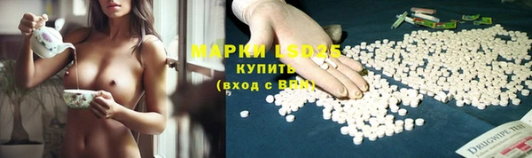 спиды Козловка