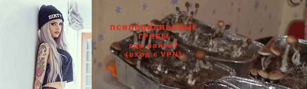 спиды Козловка