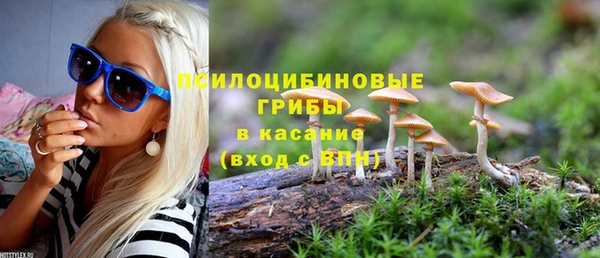 ALPHA PVP Киреевск