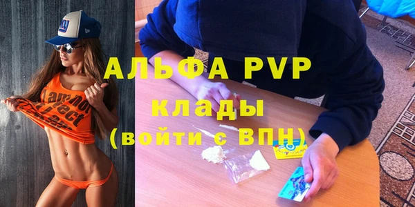 спиды Козловка